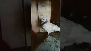 Download lagu 21 Juli 2025 mp3 Download lagu 21 Juli 2025 mp3