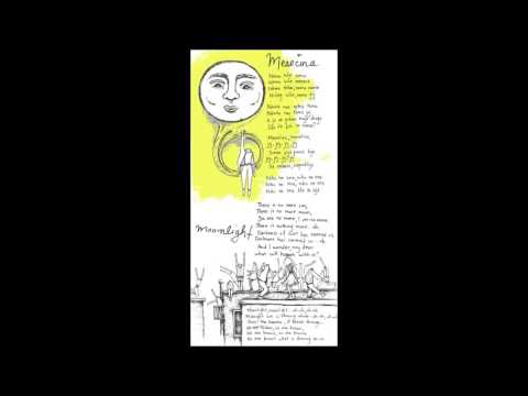 Mesecina - the Lemon Bucket Orkestra
