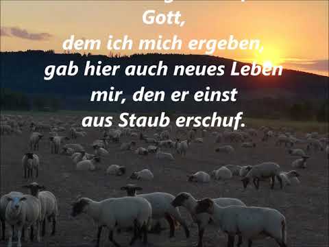 Einst herrlich dort zu werden