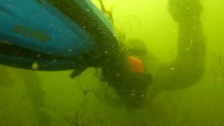 preview picture of video 'Lysterfield Lake scuba part 1'