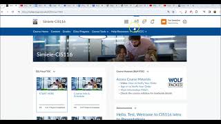 Using Email in Brightspace