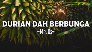 Download lagu Mr. Os - Durian Dah Berbunga with Lyrics mp3