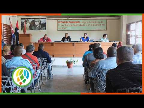 Estrategias de sostenibilidad