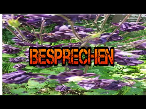 Behandlung bazylhana dyusupova Gelenke Entfernen des Knies Video