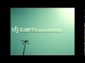 Summer In Paris-DJ Cam 