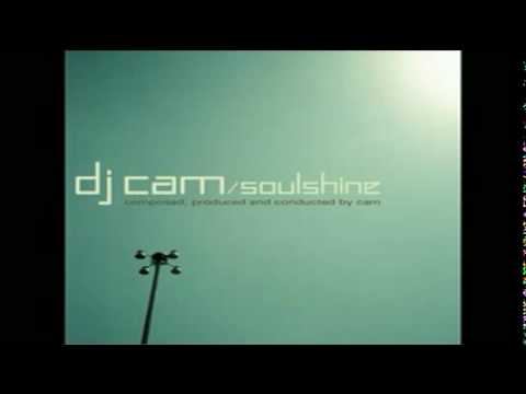 Summer In Paris-DJ Cam