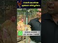 നാടന്കോഴി കോഴിയെ എങ്ങനെ തിരിച്ചറിയാ�