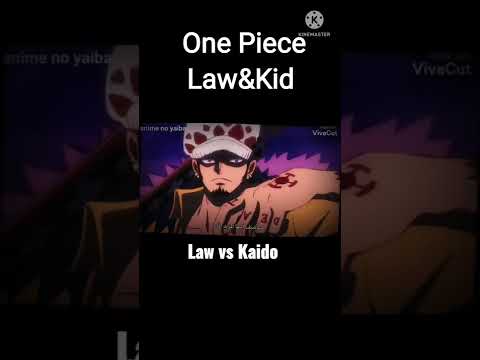 One Piece : Law vs Kaido                  #shorts