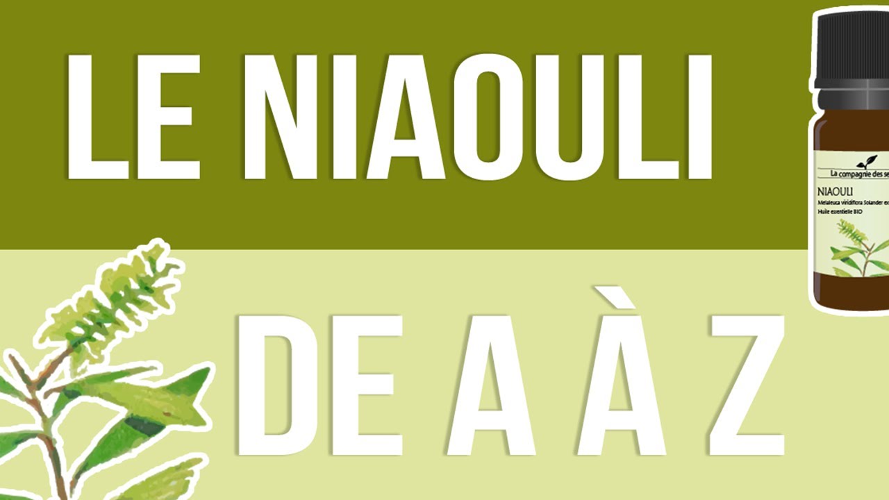 Huile Essentielle de Niaouli - 10ml - Bonescient - La Fourche