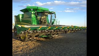 Drago Corn Head Demo