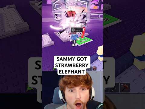 Owner Got The STRAWBERRY ELEPHANT from the Fuse machine