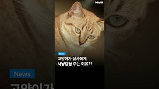 동영상 썸네일