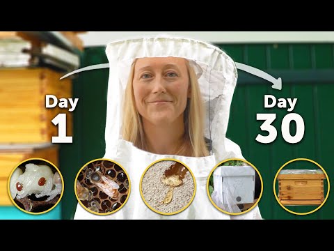 YOUR FIRST MONTH AS A BEEKEEPER | Feeding, Transporting, & Caring for Your Bees