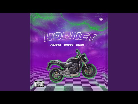 Hornet (feat. BRVGV, Click)