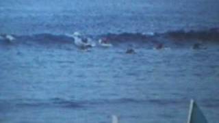 preview picture of video 'Cadet Board Race - Dee Why '75'