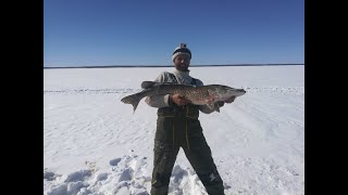 Рыбалка на кольский полуостров в марте 2020