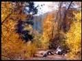 Mars Lasar- Mirror Lake