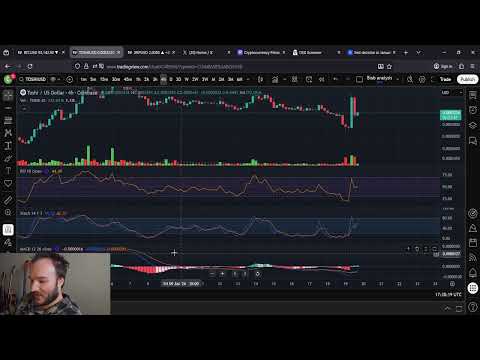 TOSHI Price Prediction: 19th of January