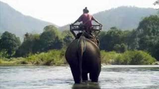 Shining Boy&Little Randy