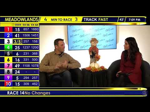 Interview - Meadowlands - Anthony MacDonald w/ Jessica Otten - Nov. 20/21