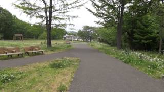 大谷戸公園のイメージ