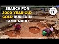 Search For 3000 Year Old Gold Buried In Tamil Nadu The Hindu