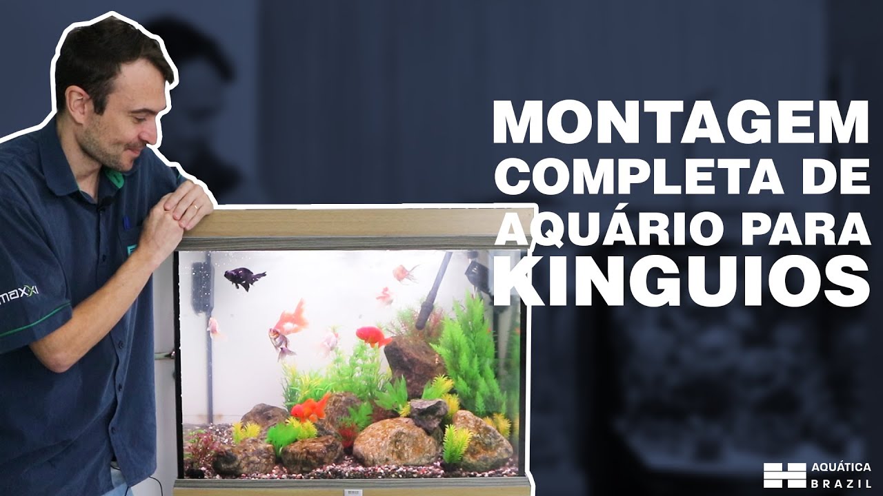 Montagem de aquário para kinguios (e peixes japoneses) - Passo a passo COMPLETO!
