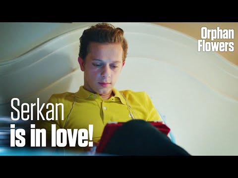 Serkan chats with Eylul from an unknown account! I Kırgın Çiçekler I Orphan Flowers
