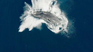 Las guardianas del planeta - Tráiler español