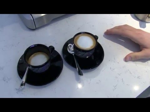 download lagu mp3 mp4 Flat White Vs Cortado, download lagu Flat White Vs Cortado gratis, unduh video klip Flat White Vs Cortado