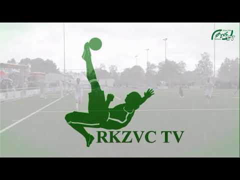 Samenvatting RKZVC DEO 19 9 2020