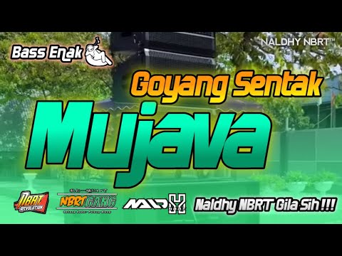 MUJAVA _ GOYANG SENTAK _ Naldhy NBRT