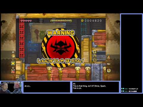 Wario Land: Shake It! Casual Play#1