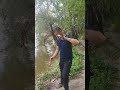 Sakarya River Catfishing