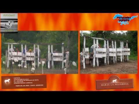 COMPILADO MONCHO ARCE EL 50 QUITILIPI CHACO DOMINGO 19 DE ENERO DEL 2014