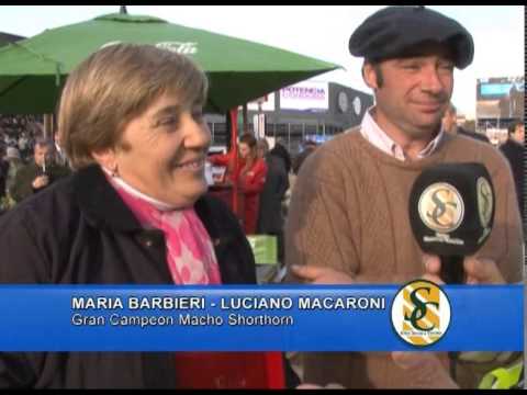 MARIA BARBIERI Y LUCIANO MACARONI - Gran Campeon Macho Shorthorn - Expo. Palermo 2013