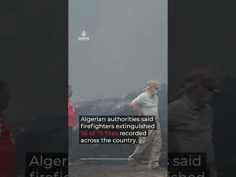 Heatwave drives major wildfires across North Africa | AJ #shorts