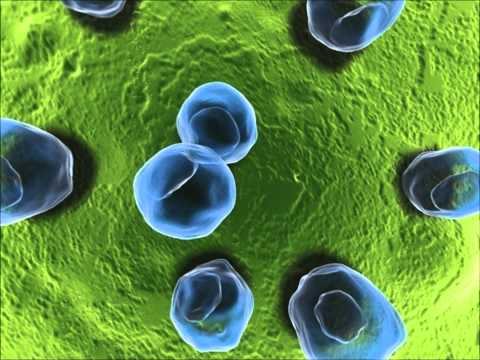 Paul Kalkbrenner vs. Daft Punk - Aaron Technologic (Dj Tóthy Bootleg)