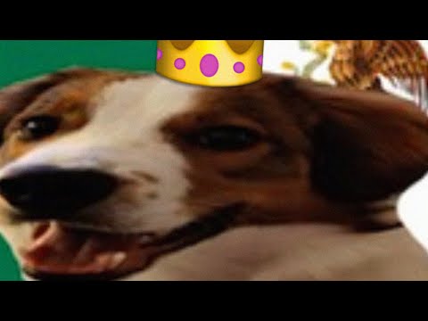 "Miss u" - 30K MHA Drop Competition 2022 (Lenik Drop)