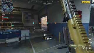 【mw4ベータ】マークスマンで吟味します