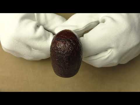 Dunhill Cumberland 3102 - pipe D953