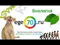 Биология. 11 класс, 2014. Подготовка к ЕГЭ по основным предметам от ...