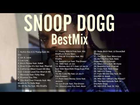 【DJ MIX】【Best Mix】Snoop Dogg BestMix GreatestHits 2022 #SnoopDogg #DJMix