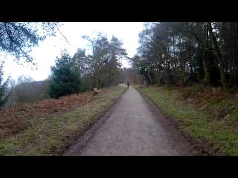 2019 0217 011828 036