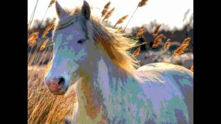 STEWBALL. HUGUES AUFRAY + LYRICS (paroles).