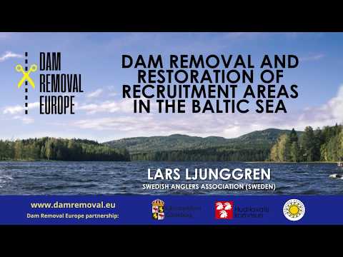 Dam Removal and restoration of recruitment areas in the Baltic Sea with Lars Ljunggren