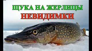 Жерлица для зимней рыбалки подледные