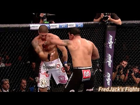 Minotauro Nogueira vs Brendan Schaub Highlights (Big Homecoming) #ufc