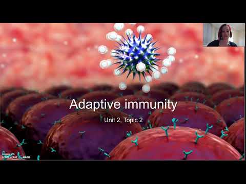 Adaptive immunity (Part 1 - Humoral response)