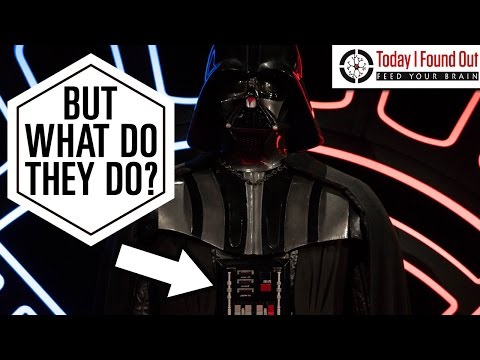 What Do the Buttons on Darth Vaders Suit Do?